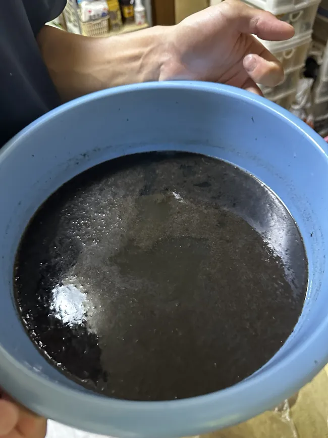エアコン内部の洗浄で回収した黒い汚水