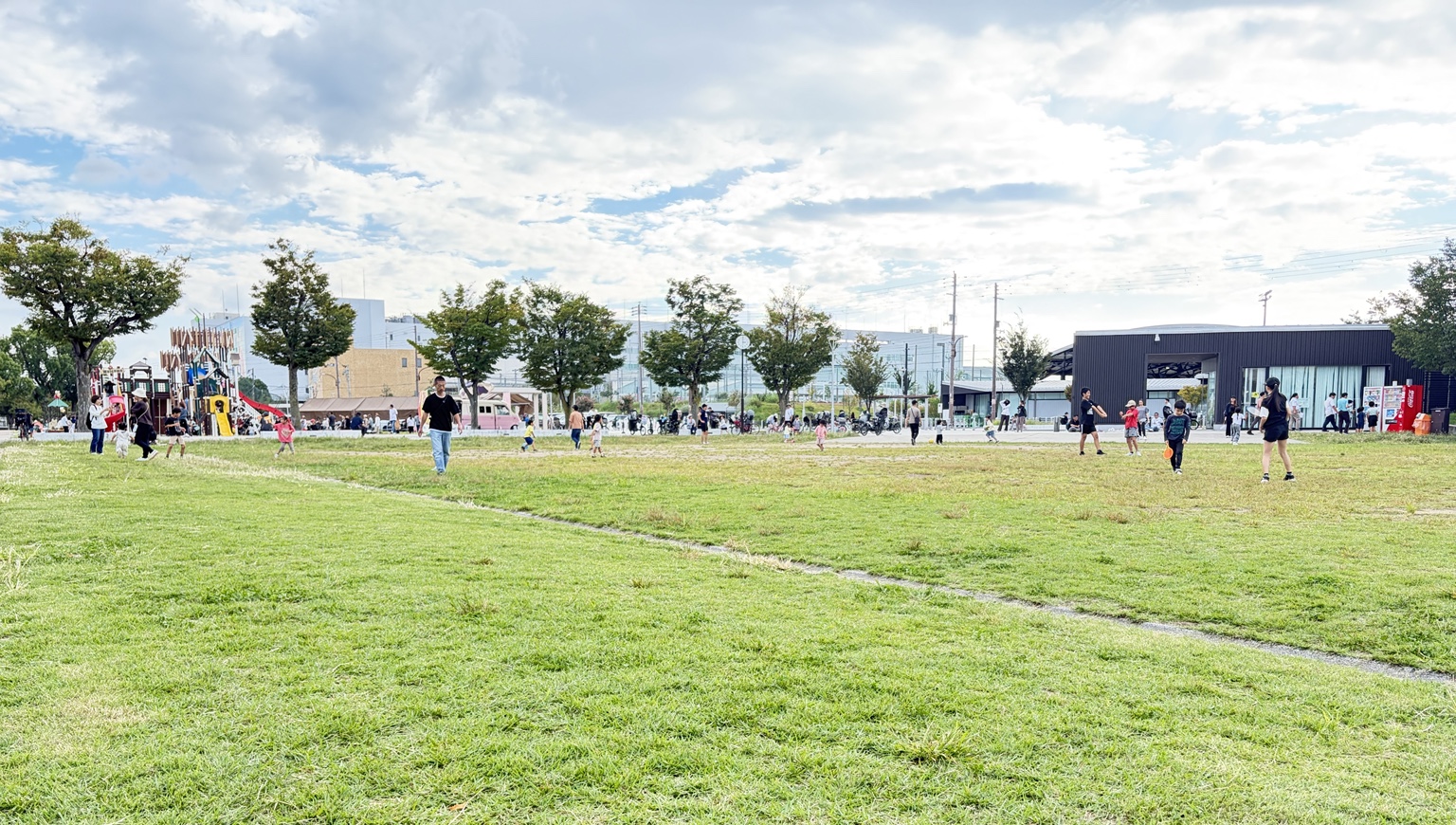 大枝公園の広場と緑