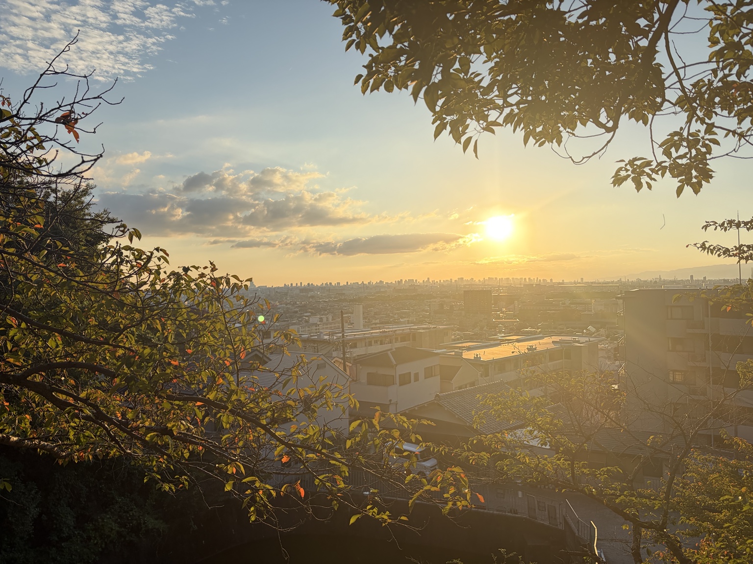 四條畷神社付近から望む夕景と街並み