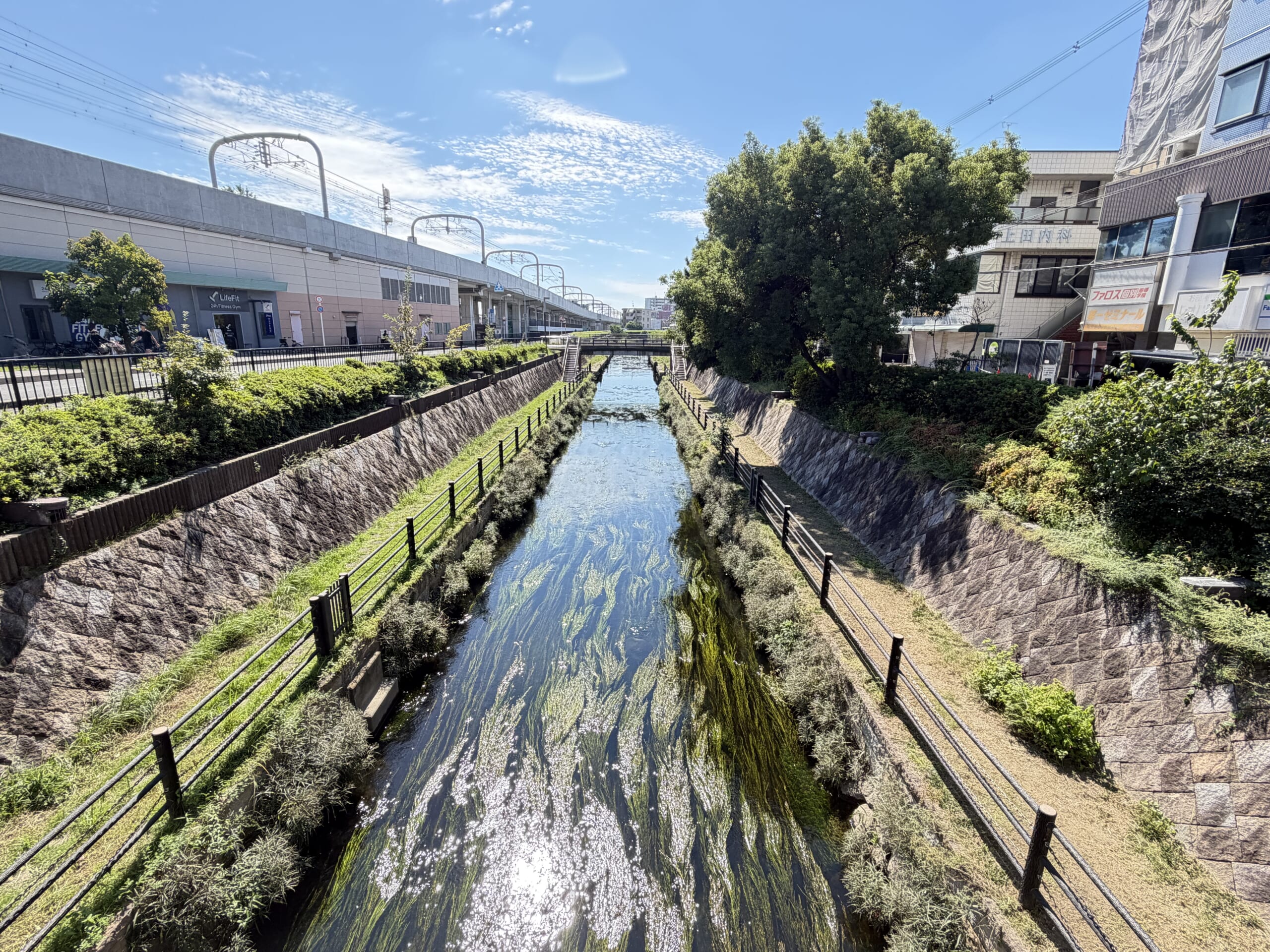 寝屋川せせらぎ公園と寝屋川の風景