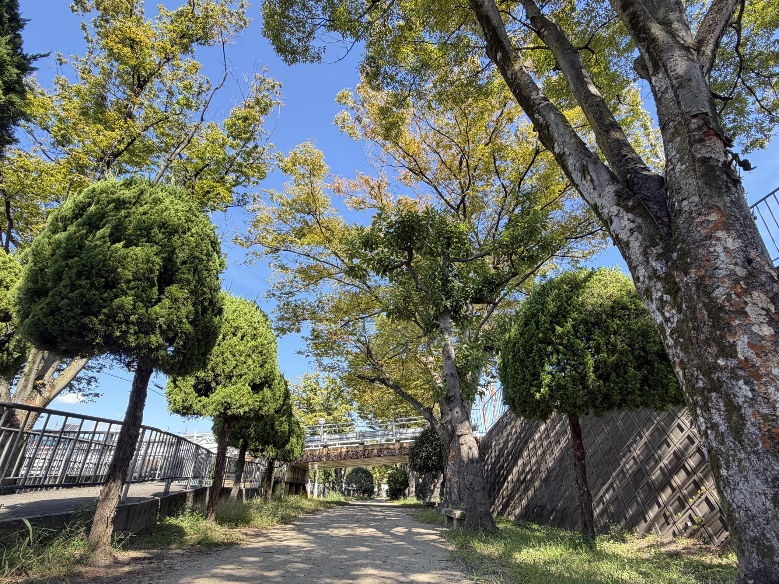 友呂岐緑地の遊歩道|寝屋川市