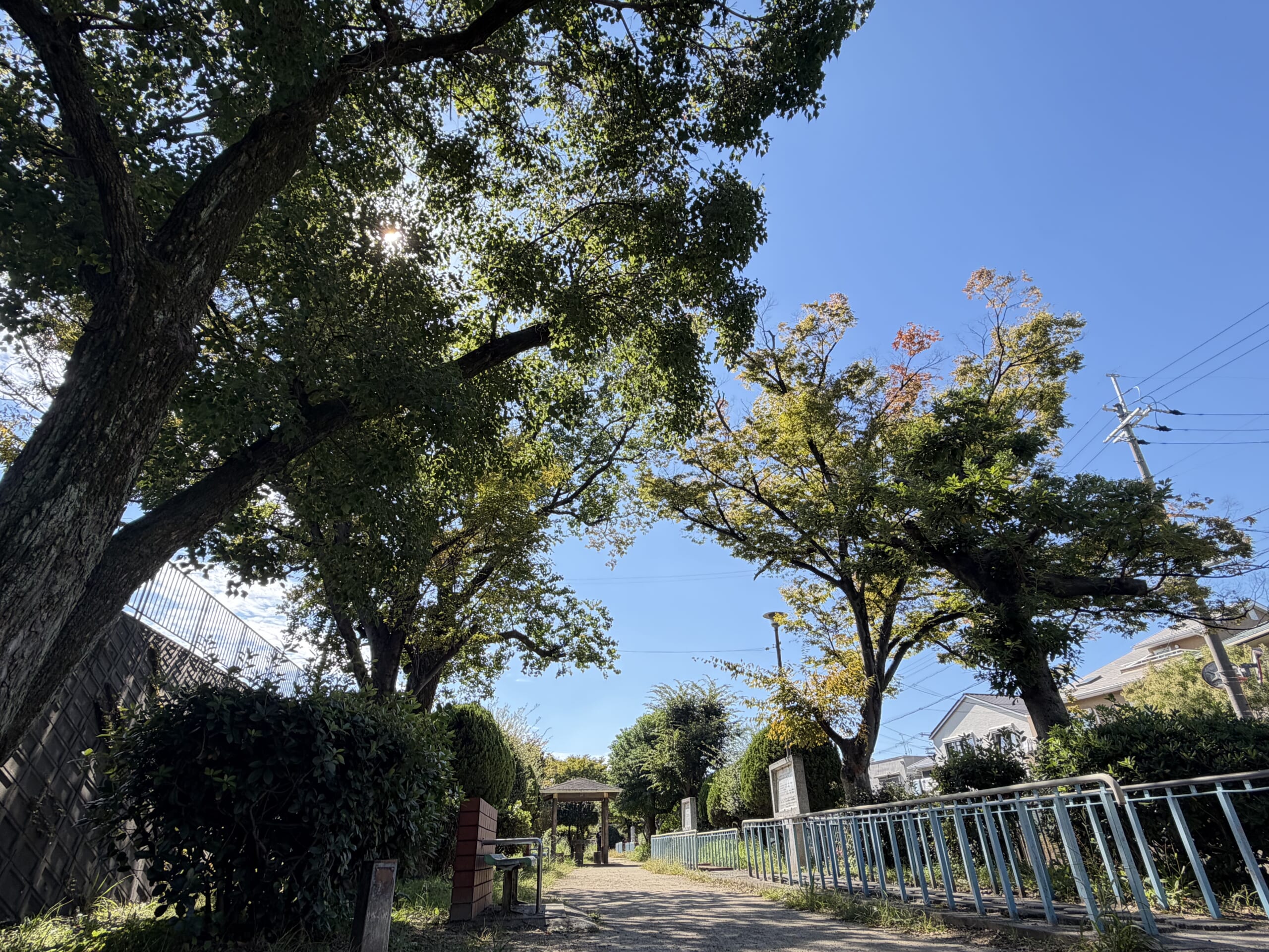 友呂岐緑地周辺の住宅と緑|寝屋川市